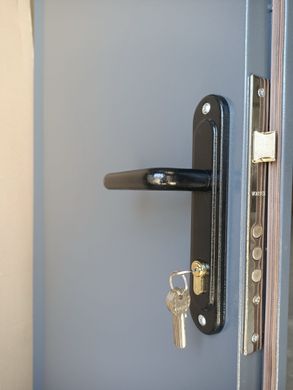 Двері вхідні REDFORT Технічні 2 листа металу сірі 40300691 фото