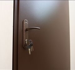 Двері вхідні REDFORT Технічні 2 листа металу 40300131 фото