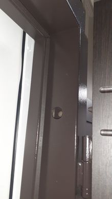 Вхідні двері Троя T-17, 2050х860 мм, Ліва